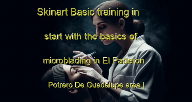 Skinart Basic training in start with the basics of microblading in El Paderon  Potrero De Guadalupe area | MicrobladingTraining | MicrobladingClasses | SkinartTraining-Mexico